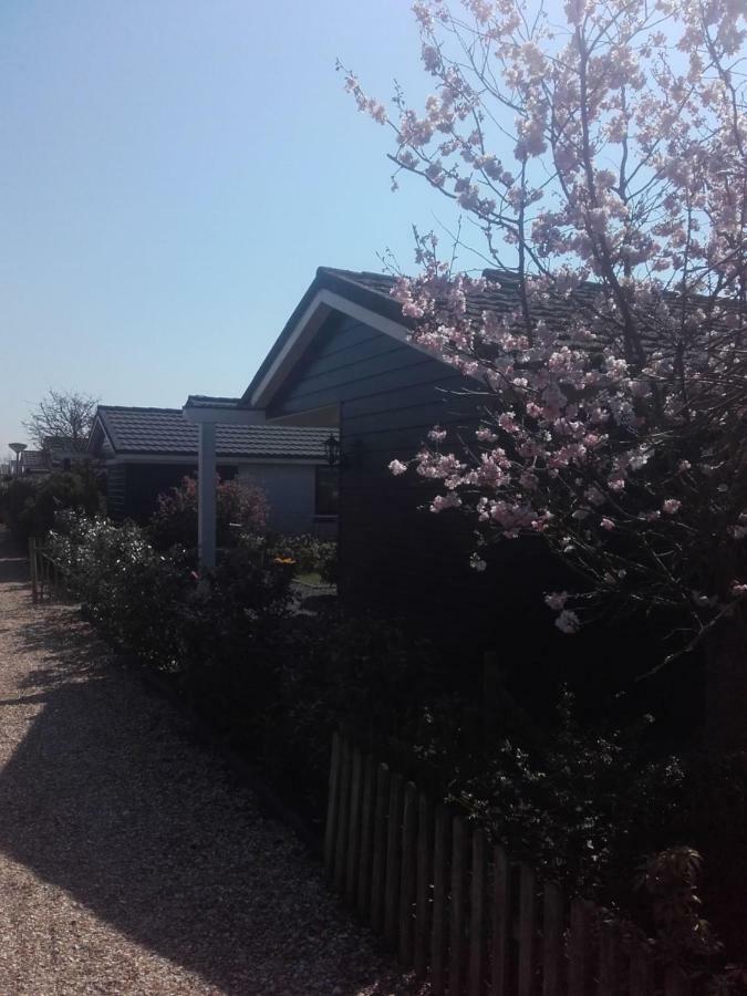 Cosy Petten, Family Only ภายนอก รูปภาพ